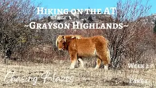 Week 2-Winter Road Trip-Hiking on the Appalachian Trail in Grayson Highlands