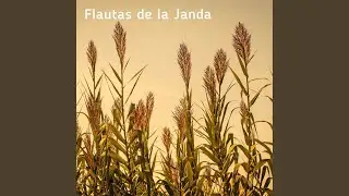 El lenguaje de los pajaros