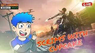 HUNTING CHICKEN IN PAID SCRIMS! #TeamCohesion #BGMI !live
