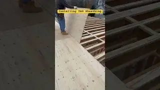 How to install T&G sheathing #framing #plywood #construction #howto #built #housebuilding #shorts