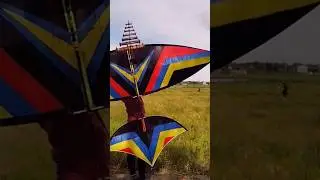 Vietnam Flute Kite 🪁