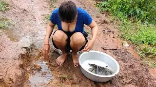 OMG!!! Fishing Video - Amazing Girl Catching a lot of Fishes in Raining Season Today