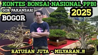KONTES BONSAI NASIONAL 2025 PPBI GOR PAKANSARI BOGOR, MILYARAN...!!!