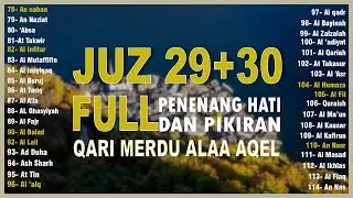 Murotal Al Quran Juz 30+29 (Juz Amma+TABARK) Merdu - NEW beautiful Quran recitation BY ALAA AQEL