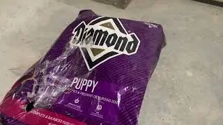 Обзор корма для щенков Dimond
