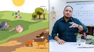 Comunidades Biológicas