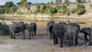 Elephants enjoy fresh borehole water pumped by Camelthorn Farmstead in Khumaga, Botswana.