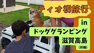 チワワ★ティオと初めての旅行【前編】黒壁スクエア・ドッググランピング滋賀高島