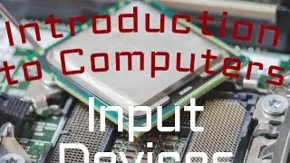 Computer Hardware : Input Devices (02:05)