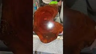 Polindo t&aacute;bua de corte #wood #woodworking #diy #shorts #shortvideo