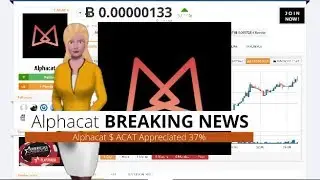 Alphacat $ACAT Rose 37% Over the Last 24 Hours
