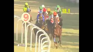 Delhi Race No 5 The Ontario Plate/ Win - ASHWA BRAVO / Jockey - Aasif Khan / #jockeyindia 2026