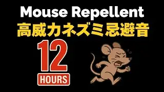 ネズミ忌避音（ネズミ撃退音）Mouse Repellent　１２時間　【１６ｋHz&rarr;１８ｋＨｚ&rarr;２０ｋＨｚ】