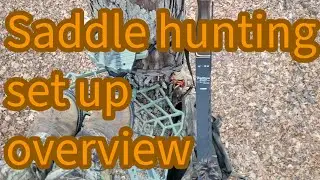 saddle gear one year review
