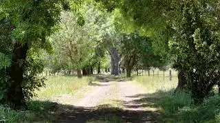 Open2view AU - ID# 982216 - 63 Swanpool-lima Road