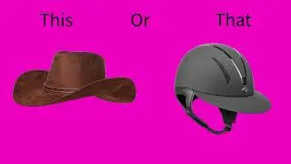 This Or That Horse Edition #horse #thisorthat