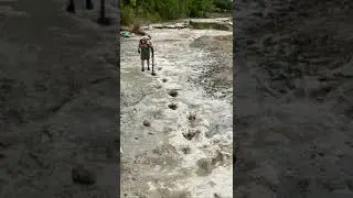 113 Million years Old Dinosaurs Footprints