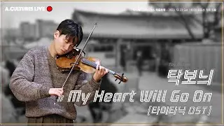 [acultures Live] 탁보늬(Tag Bo Nee) - My Heart Will Go On (타이타닉 OST)
