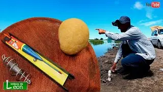 MASA QUE PESCA TODO EL AÑO | Videos de Leon