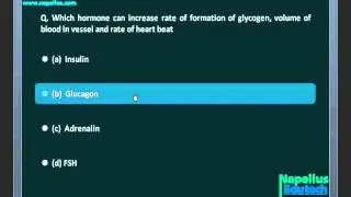 Endocrine Gland | Smart Test-2 AIIMS AIPMT Video Lecture | Biology