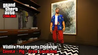 GTA Online - New Wildlife Photography Challenge - Coyote / Pig / Crow Location