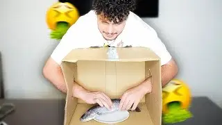 WAS IST IN DER BOX? 🤢🐟 (mit Abu)