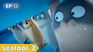 つらいときでも笑えるアザラシがホンモノ｜SEALOOK シーズン2｜第12話