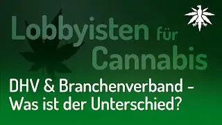 DHV und Branchenverband - Was ist der Unterschied?