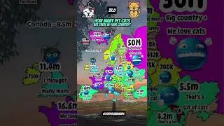 How many pet cats live in your country? 🐈 #europe #mapper #mapping