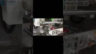 Powder chain sachet packaging machine | Incline screw filiing packaging machine