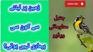 جنرل معلوماتی ویڈیو 21 #islamicinformation #infoknow #islamicvideo 