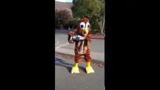 Introducing the Indian Valley Elementary School Hawk Mascot!
