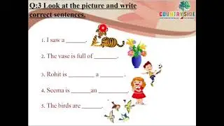 Grade 1: English- Countryside International School