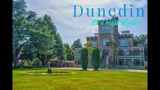 4K HD Dunedin City Otago South Island New Zealand Aerial Drone View #dunedin #otago #newzealand #nz