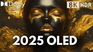OLED DEMO, 8K Ultra HD 240FPS + Dolby Atmos = A Visual Explosion!