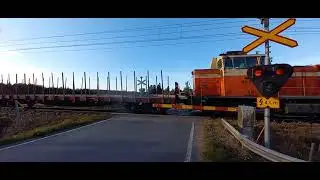 Dv12 pulled mixed freight train 58861 passes Pikarinm&auml;ki level crossing