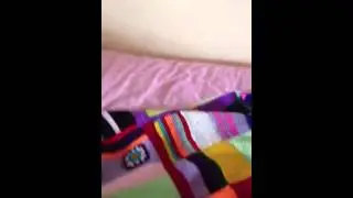 Cats dead bird