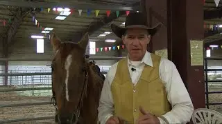 Montana Farmers Union annual convention kicks off with a stress-free cattle seminar