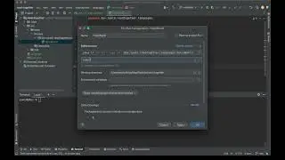 add command line arguments on IntelliJ IDEA