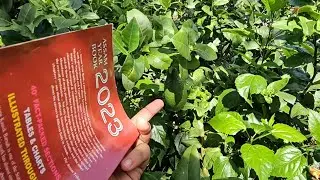Assam year book l Bokakhat town l Jhal muri l Sprite l Daily vlogs l A day in my life