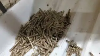 Vertical Ring Die Pellet Machine Trial