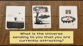 What is the Universe sending you that you are currently attracting? #tarot  #tarotcardreading