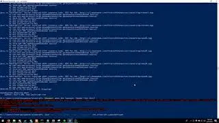 Old Minecraft launcher.