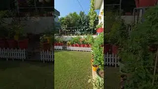 Beautiful outdoor garden decor ideas🪴🌸#shorts #youtubeshorts #home #viral#diy#gardenflowers #asmr