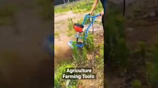 Easy Agriculture Farming Tools Weeder /ගෙවතු වගාව #agriculture #farming #tools