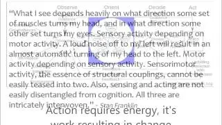 OODA loop micro course Action