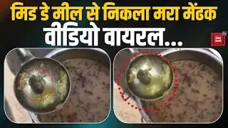 Mid Day Meal Shame: निकला Mara Mendhak (Dead Frog), Video Viral 🤢