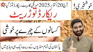 Khushkhabri! Today 20 October 2025 Paddy Rate in Pakistan | Record Breaking Rate | Farmers Are Happy