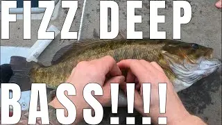 HOW to FIZZ - SMALLMOUTH BASS