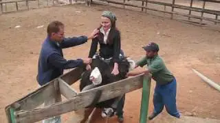 OSTRICH RIDING IN SOUTH AFRICA | Cango Ostrich Farm, Oudtshoorn